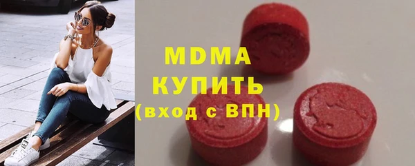 индика Осинники