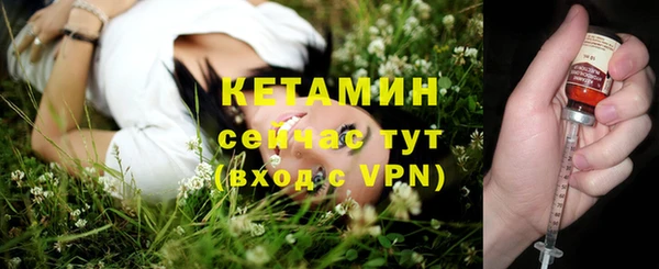 индика Осинники
