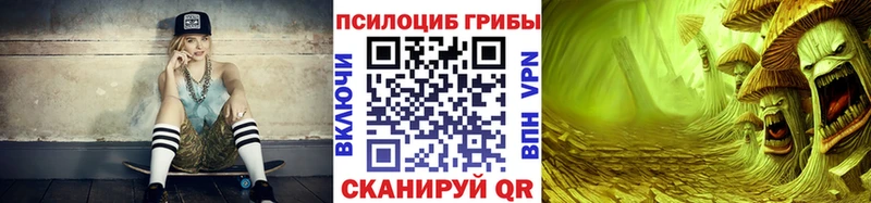 дарнет шоп  Белоусово  Псилоцибиновые грибы Cubensis 